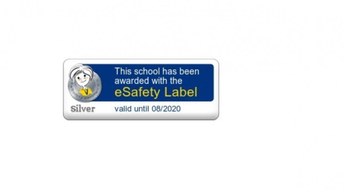 Esafety (Güvenli İnternet Kullanımı) Silver Label ödülümüz